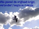 Alexvrijheid3kt