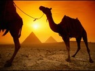 Egypte!