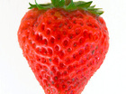 de aardbij