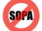 stop sopa