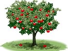 Bio-Appels
