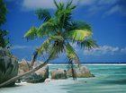vakantie