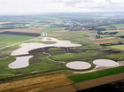 Beeld in polder