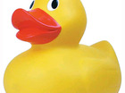WILBERT