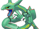 POKEMON!!!