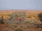 Free de tijger 